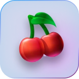 https://winportcasino.com/assets/images/all-games.webp